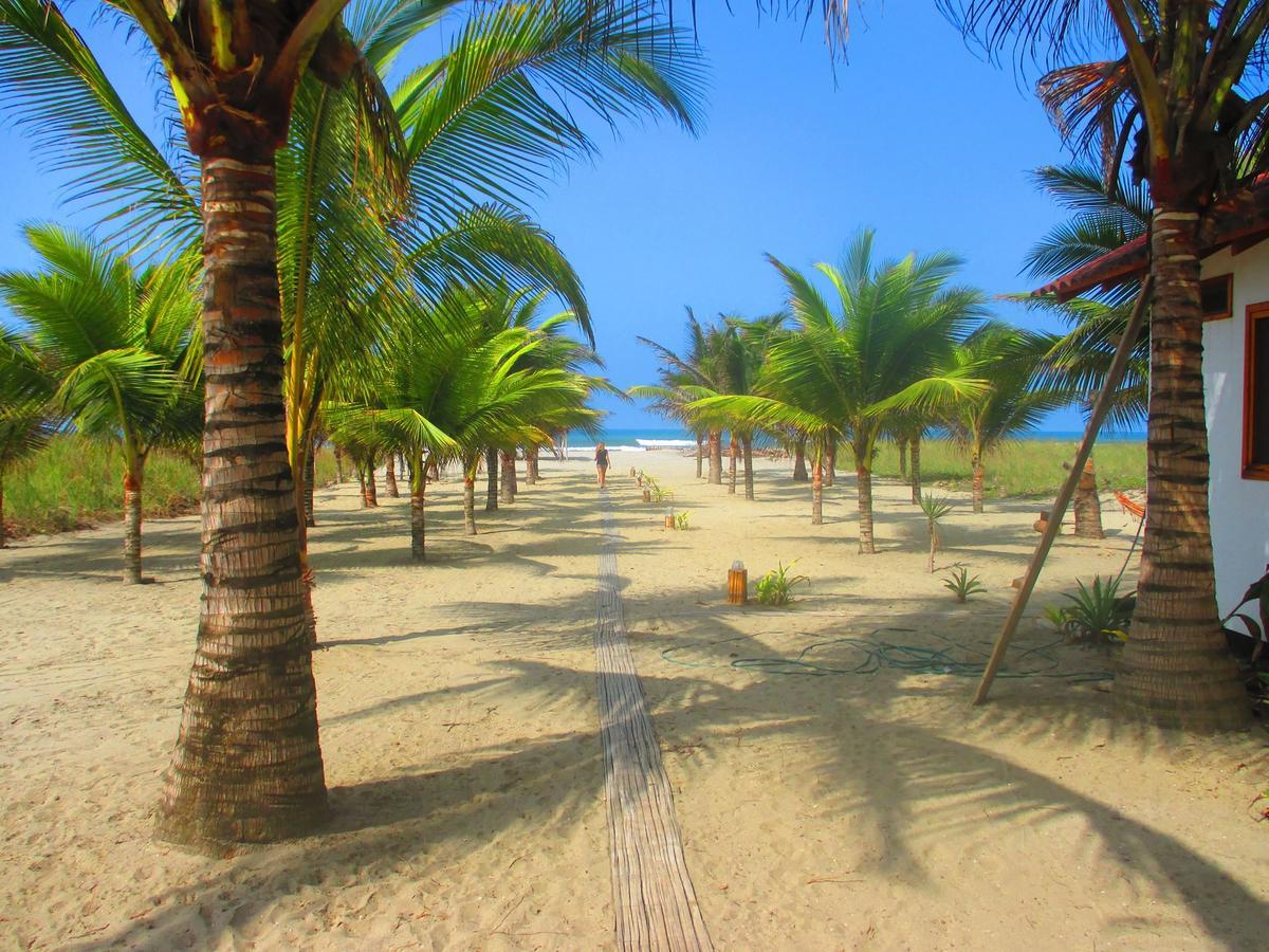 Beach Front Bungalows At The Coconut 카노아 외부 사진